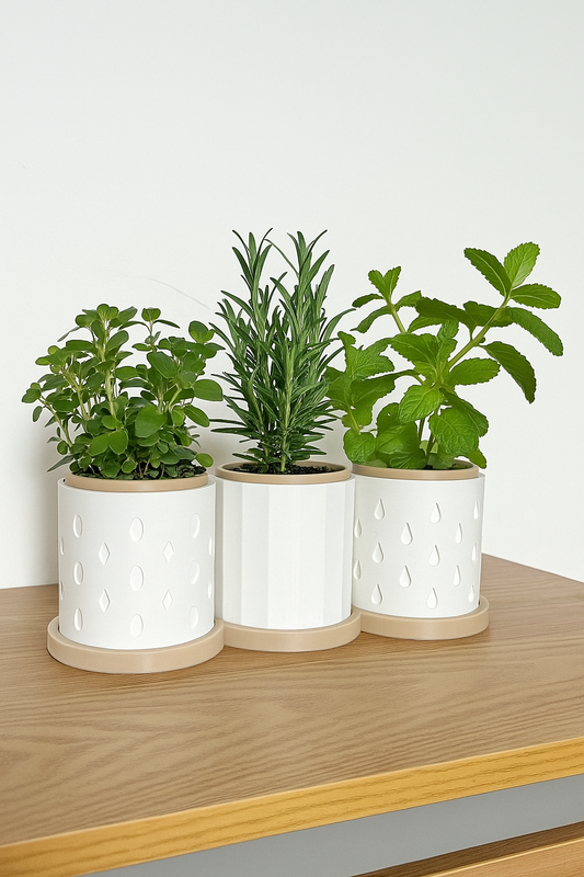 3-Piece Indoor Herb Planter – Stylish Planters for Mint, Rosemary & More